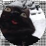 Женя Кирстя