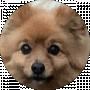 Akita Kuroyama