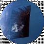 Trofi
