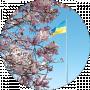 Ира Ковалева