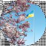 Ира Ковалева