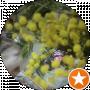 Ирина К.