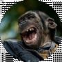 Леонід Пашкевич