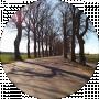 Николай Крайнов