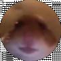 Amprazl