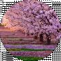 Юлия Лихая