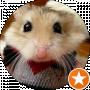 Dmitriy Mous (MrMous)