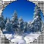 Алена