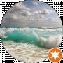 Alex_V