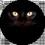 bleck eyes