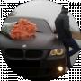 Игорь Мищук