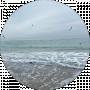 Vika Andrienko