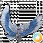 Kass Play
