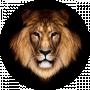 Lion KING