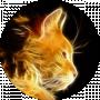 top firer cat