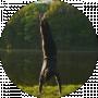 Mark Babiy