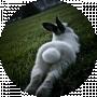 mixayll Михайлюк