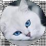 Ника Николаевна