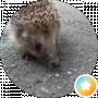 Олександр Залевський