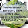 Іванна Лучик
