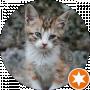 Святослав Погляд
