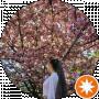 Ellen