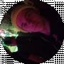panama sinnema