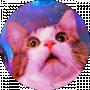 Roman