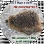 Наталия Ликова