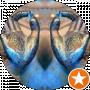 Anikа Tor