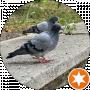 Со Ля