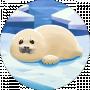 Вікі-тікі