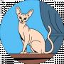 София Ордовская