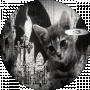 nxsty##