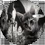 nxsty##