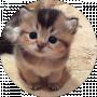 Danya