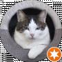 D M