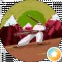 Tetiana Kostiuchenko