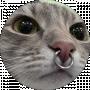 JErnyD
