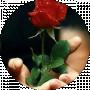 LOV