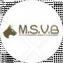 M.S.V.B brv