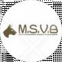 M.S.V.B brv