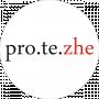 Protezhe Dress Workshop