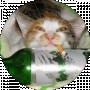 SimeonOFF