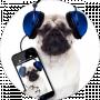 Music Music