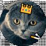 Parod Cat
