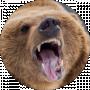 Grizley Bear