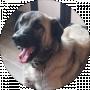 Марія Омельченко