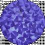 Viktoriia Prokhorchuk