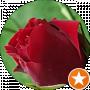 Relena